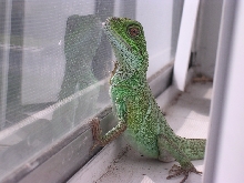 Window2