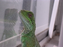 Window3