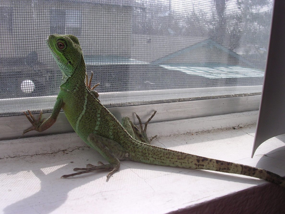 Back shot (male or female?)