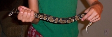 Love my Snake