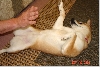 High5
