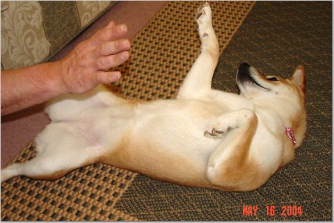 High5