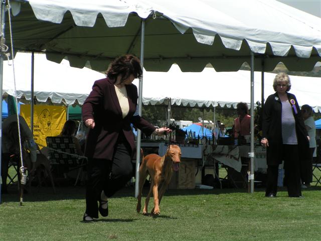 Jayme and Apollo