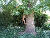 Penny jumping for squirrels