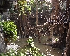 Trip to Bronx Zoo