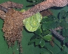 Trip to Bronx Zoo 2