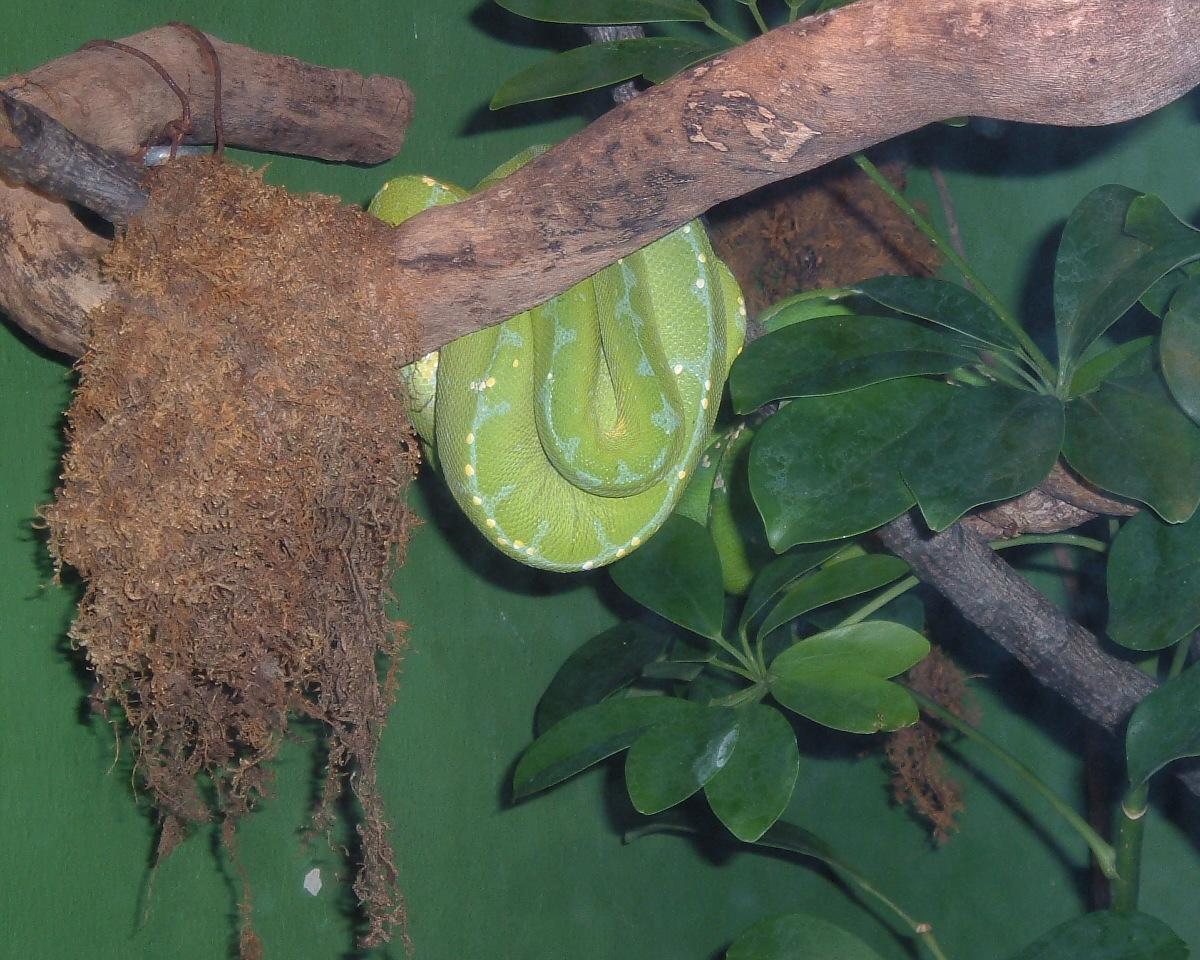 Trip to Bronx Zoo 2