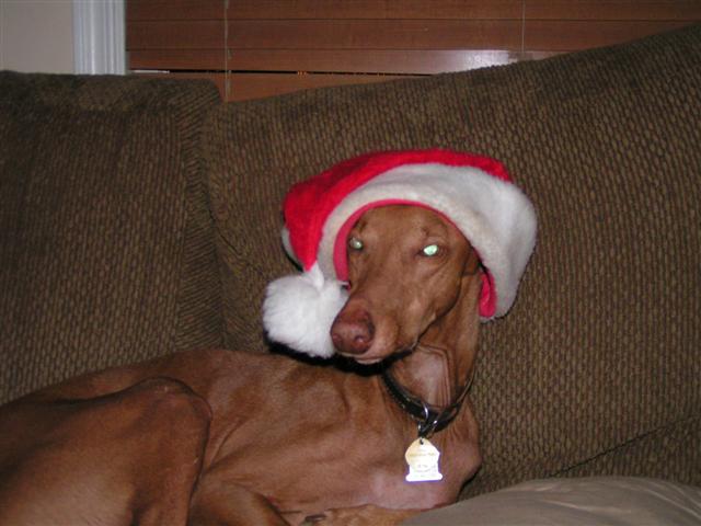 Mr. Burn's Christmas 2005