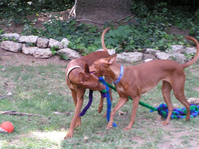 Gaia and Elliott