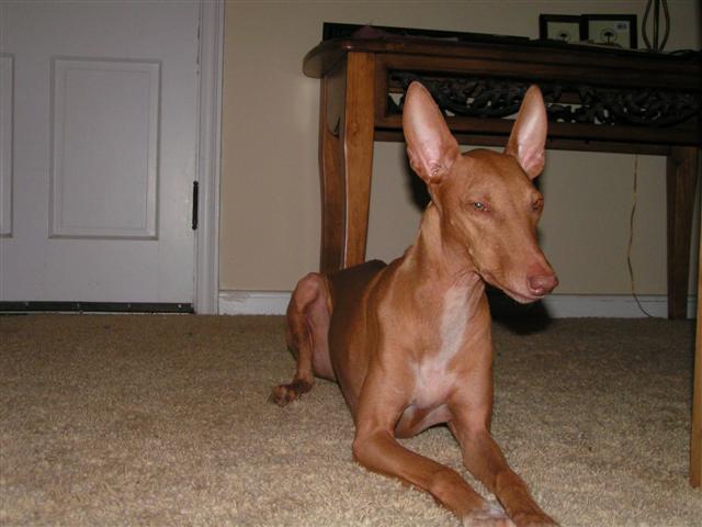 Penny birthday picture?