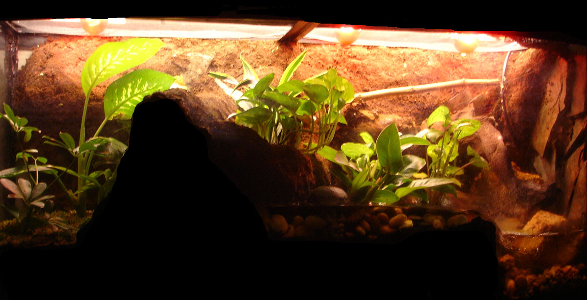 WTF vivarium