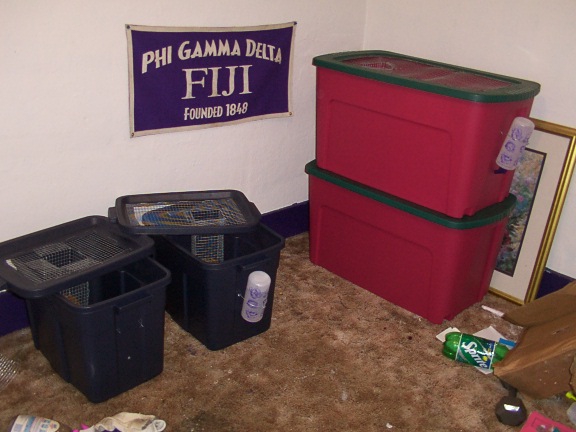 These are my rat breeding enclosures