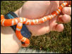 female Albino Tangerine Honduran