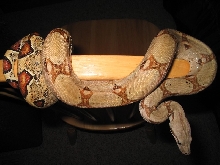 03loiosh
