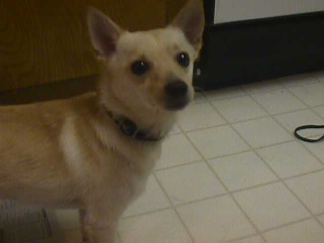 Am I cute?