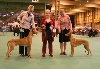 Crufts2005