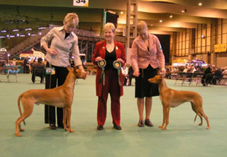 Crufts2005