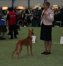 Enya at Aland Int show -07