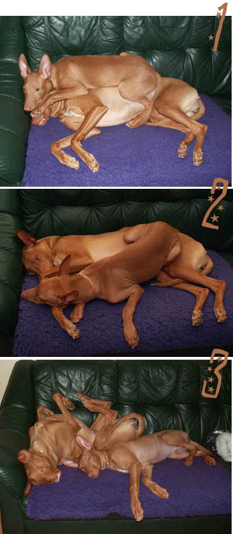 Sleeping style