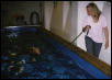 Sally swimming