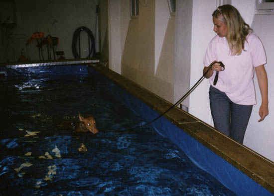 Sally swimming
