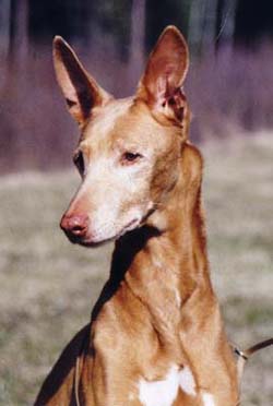 Sucki 12 years old