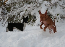 winter1
