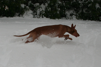 winter3