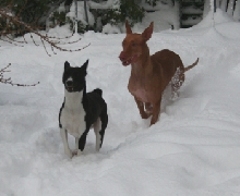 winter2