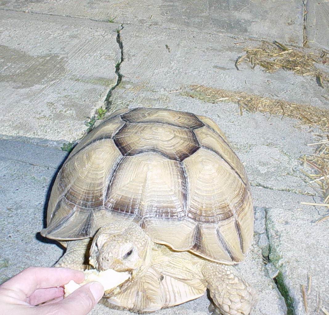 2005