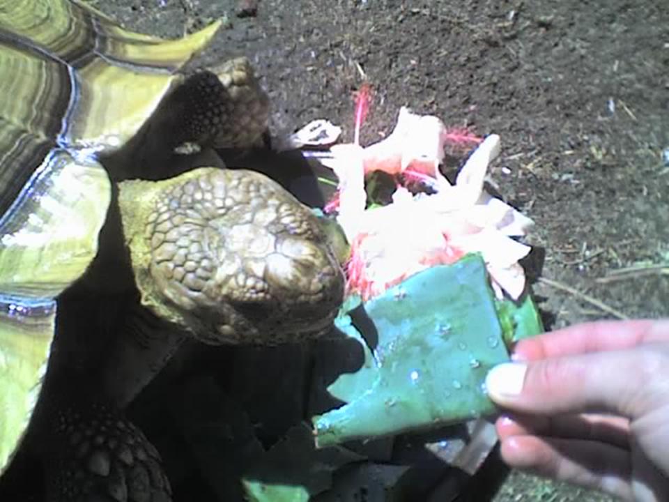 22 jun 07