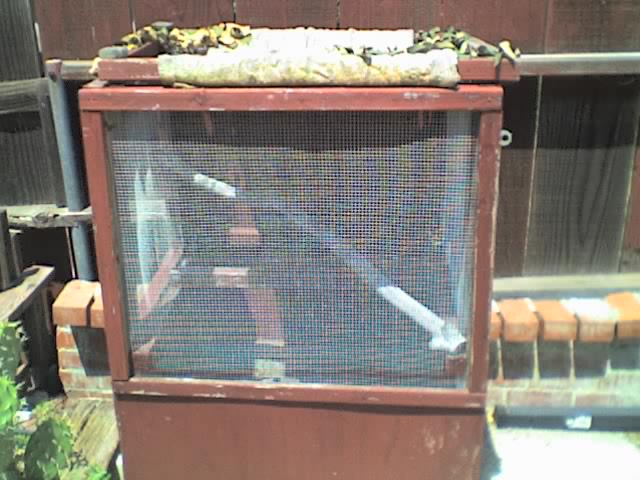 snake cage