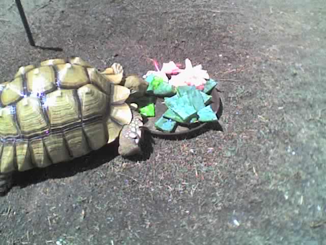 22 jun 07