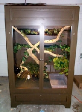 Water Dragon Cage