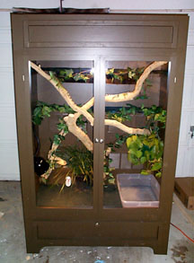 Water Dragon Cage