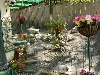 Willowood Kennels