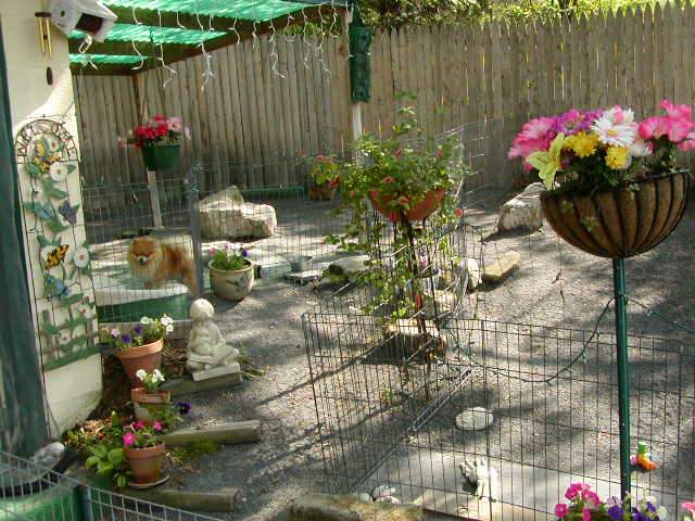 Willowood Kennels