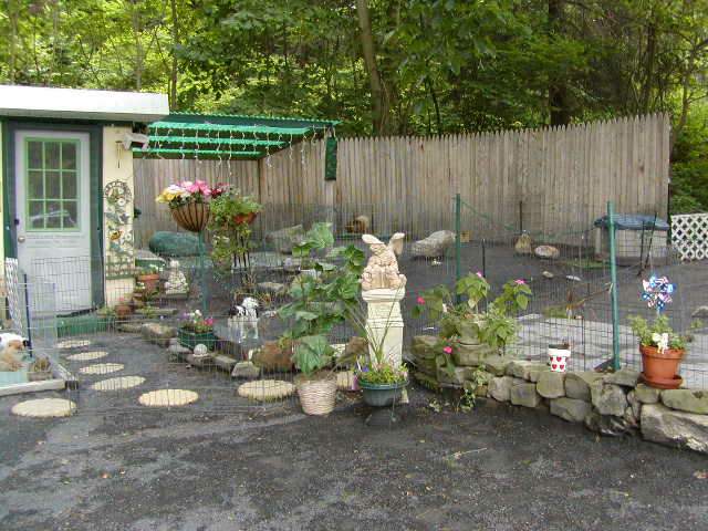 Willowood Kennel  2