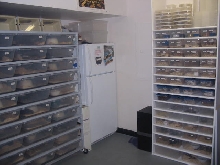 herp room