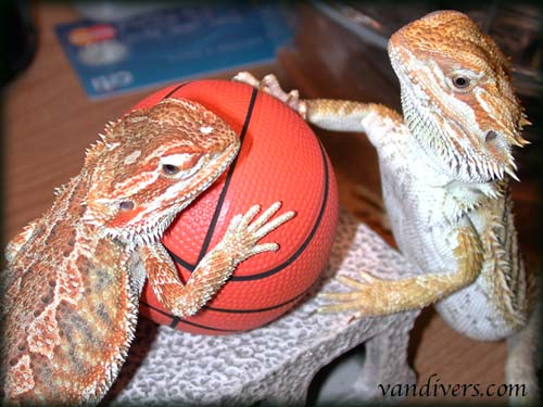 Basketball?