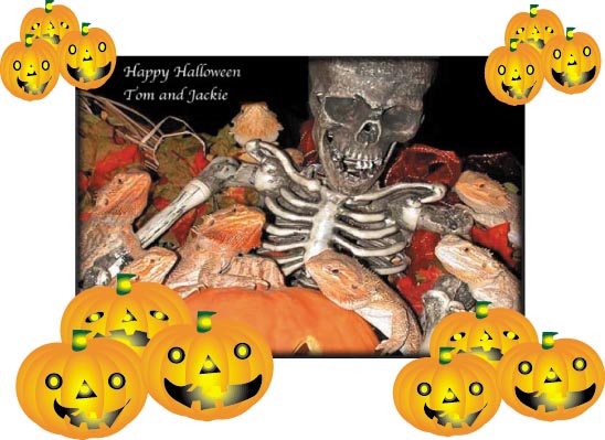 BD Halloween.