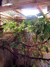 cham enclosure