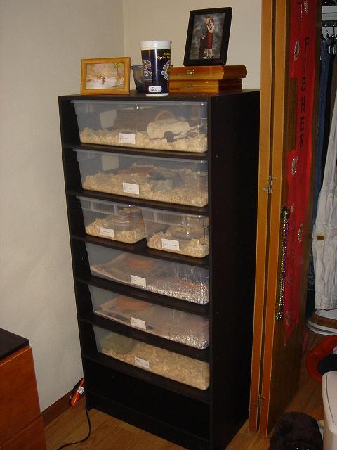 AP rack 1754