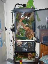 New WD set up