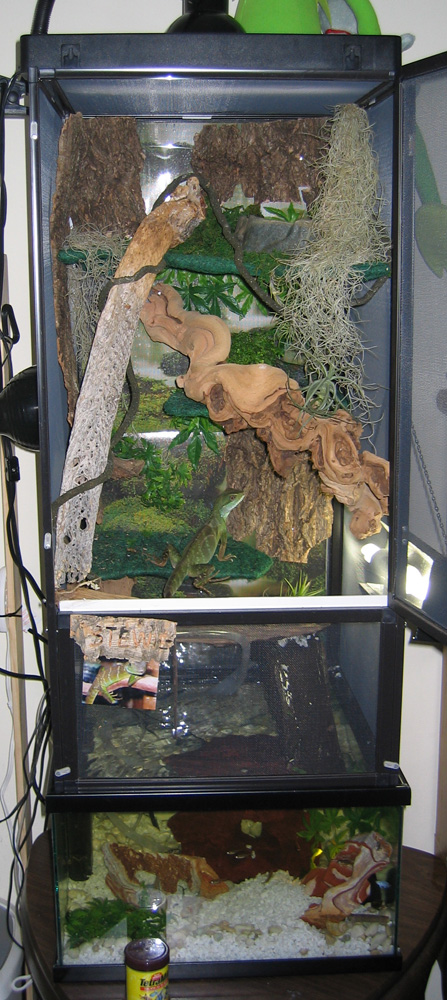 New home-lifestyles of the green and crazy