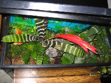 Top view