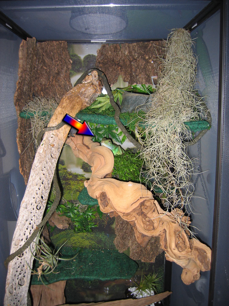 Becha can't find me in my new home!