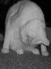 Doing Yoga