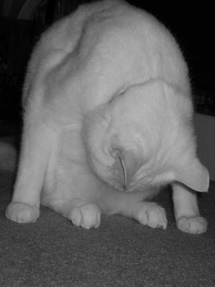 Doing Yoga