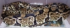 My Adult Wc Normal Female Ball Python